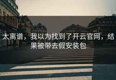 太离谱，我以为找到了开云官网，结果被带去假安装包